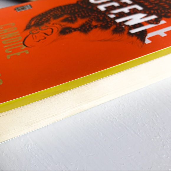 Queenie by Candice Carty-Williams - Picture 5 of 5